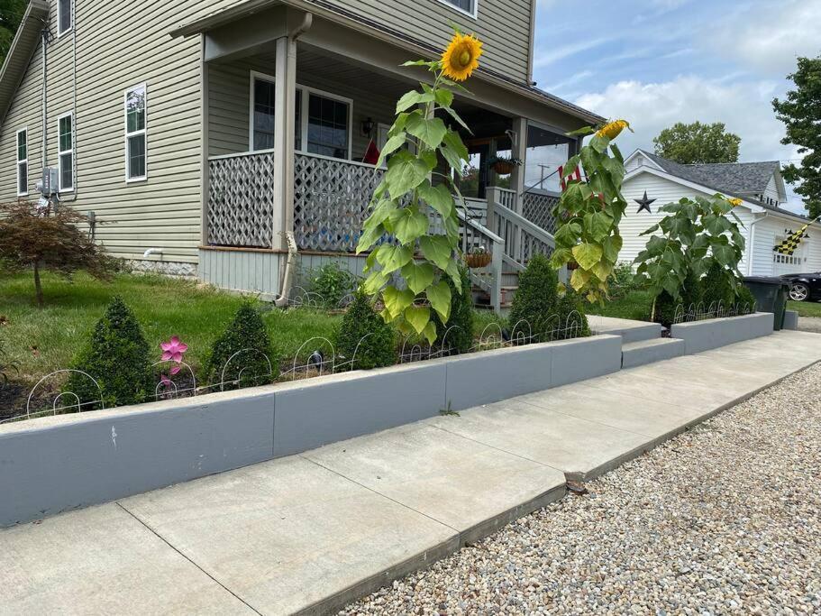 Solar Roof, Eco-Friendly Home Baltimore Eksteriør billede
